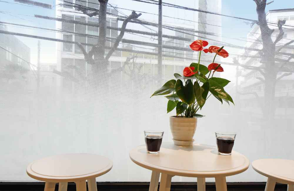 中川化學株式會社 Nakagawa Chemical - Foglas Print Gradation 磨砂玻璃印刷漸變薄膜 - FP-001 - 川灃建材貼膜服務有限公司
