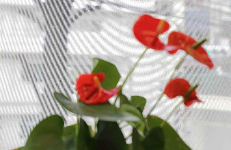 中川化學株式會社 Nakagawa Chemical - Foglas Print Gradation 磨砂玻璃印刷漸變薄膜 FP-003 - 川灃建材貼膜服務有限公司